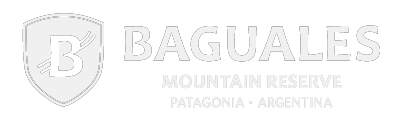 baguales